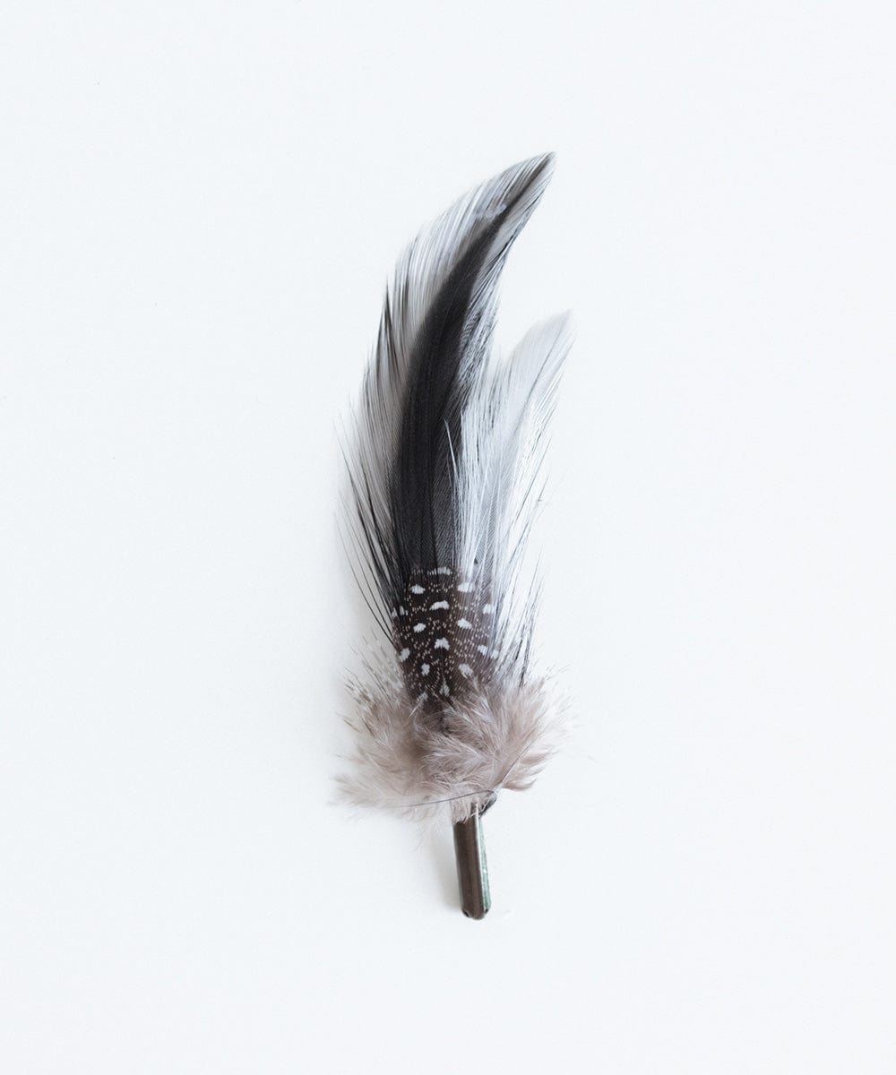 Feather Black Feather Black